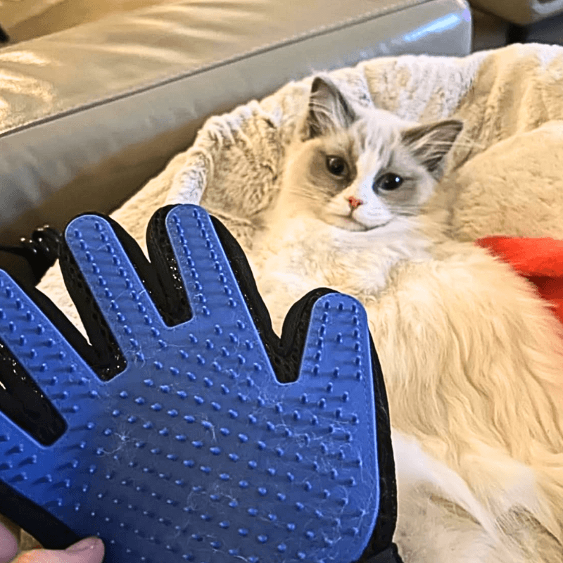Purrfect Care™ Everyday Bundle