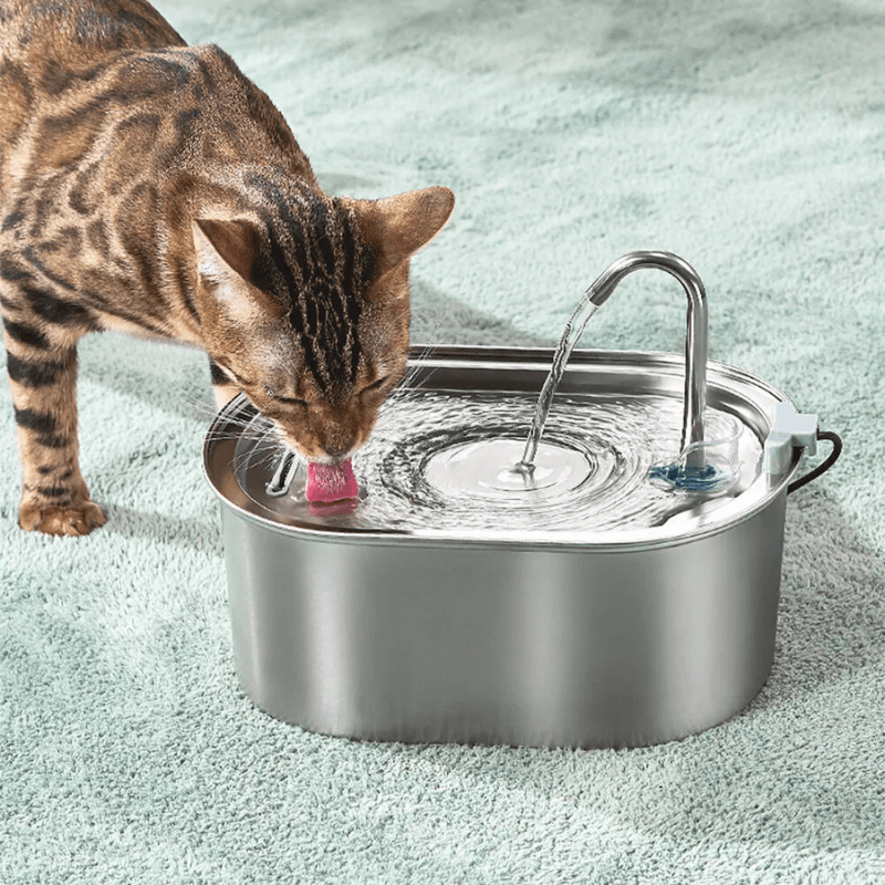 Purrfect Care™ Stainless Steel Water Fountain