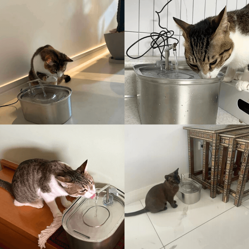 Purrfect Care™ Stainless Steel Water Fountain
