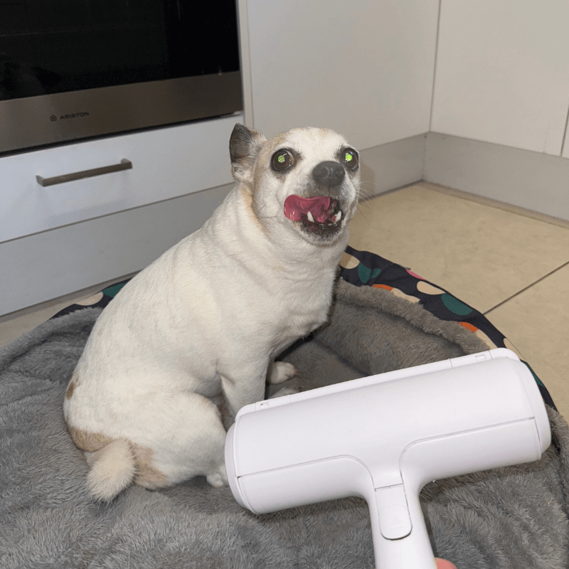 Purrfect Care™ Fur Removal Roller