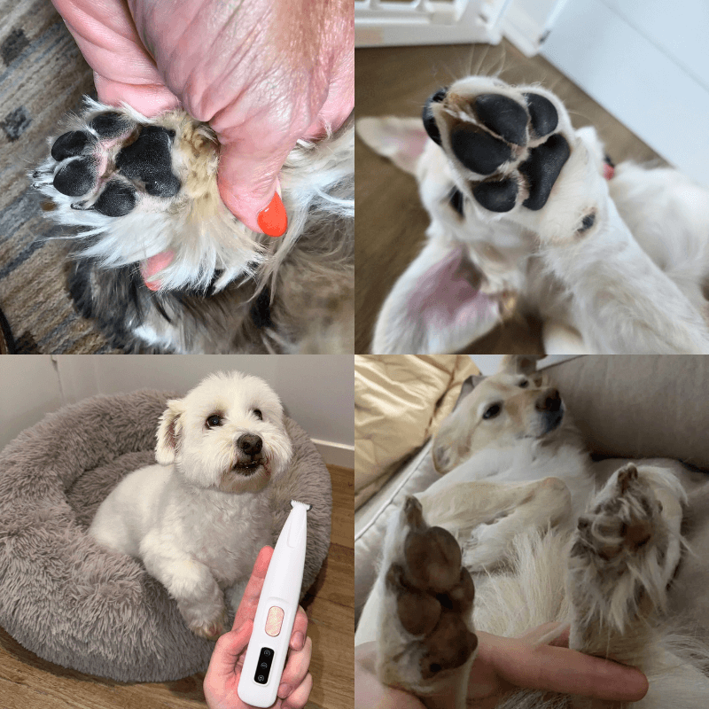 Purrfect Care™ Electric Pet Trimmer