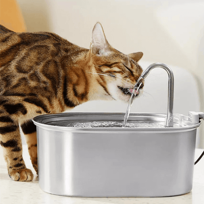 Purrfect Care™ Stainless Steel Water Fountain